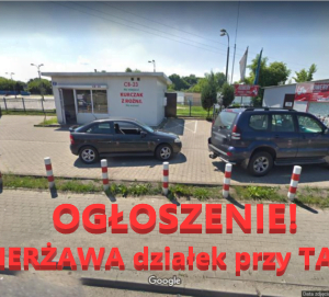 OGŁOSZENIE – dzierżawa działek przy TARGU!