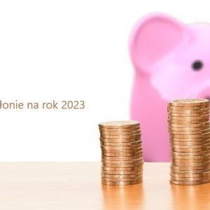 Skrót z sesji Rady Miejskiej z 19.12.2022. Budżet gminy Błonie 2023