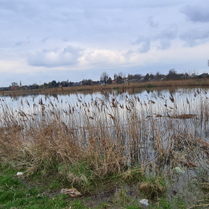 Modernizacja błońskich glinianek – 2023 plażujemy się!