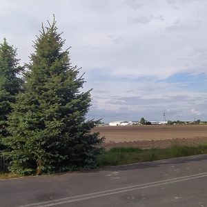 Dożynki i dorzynanie rolników?