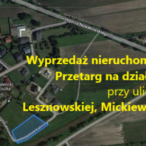 Wyprzedaż majątku gminy – przetarg ustny nieograniczony na działki budowlane w Błoniu.
