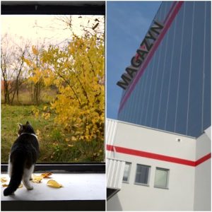 Rozbudowa DAWTONY – list mieszkanki ul. Bieniewickiej.