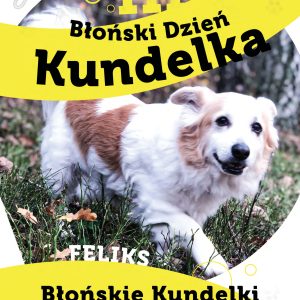 Kalendarze na 2022 “Błońskie Kundelki” – już dostępne! Pomagamy.