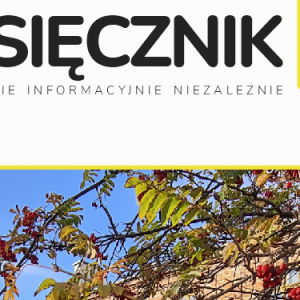 Miesięcznik PIN – już jest!