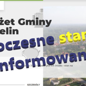 Standardy informowania mieszkańców o wydatkach z budżetu gminy w XXI w.