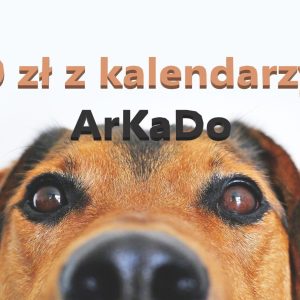 1720 zł z kalendarzy dla fundacji Ar-Ka-Do.