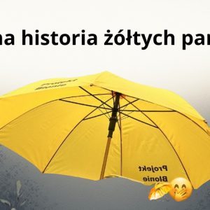 Jedni wyznaczają standardy, drudzy za nimi gonią.