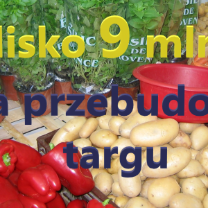 Jaką decyzję podejmie Burmistrz w sprawie przetargu na przebudowę TARGU?