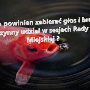 “Jak się znasz, to siedź cicho” ;) Krótkie streszczenie sesji Rady Miejskiej z 08.03. 2021